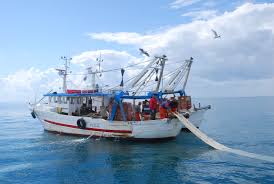 Pesca, bando Feamp "crisi Ucraina": altri 2 milioni ...
